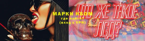 apvp Вяземский