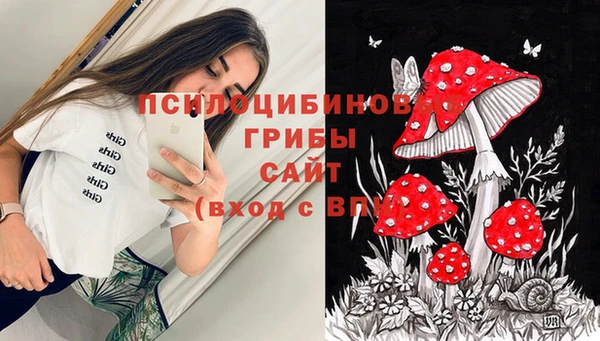 прущая мука Вязьма