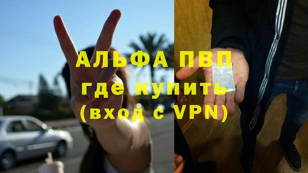 apvp Вяземский