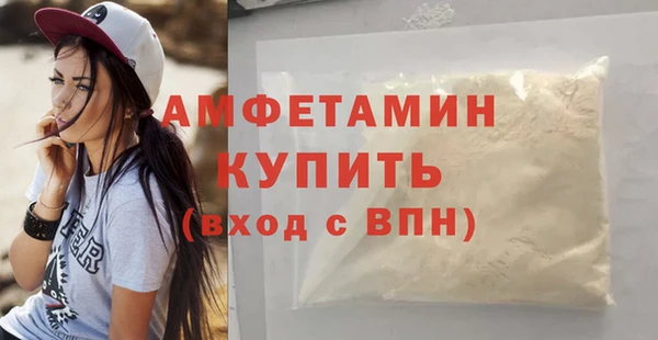 apvp Вяземский