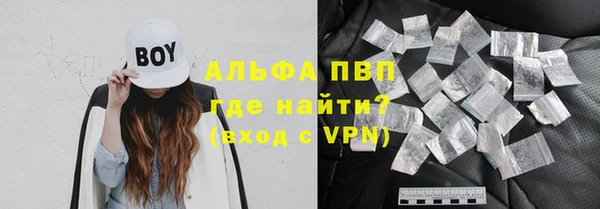 apvp Вяземский
