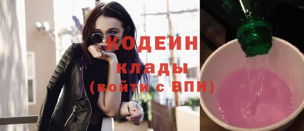 apvp Вяземский