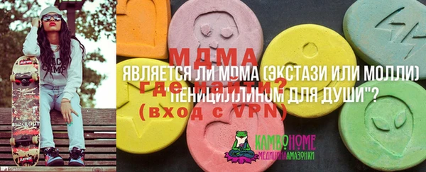 apvp Вяземский
