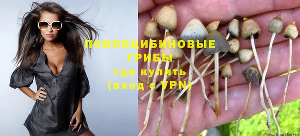 apvp Вяземский