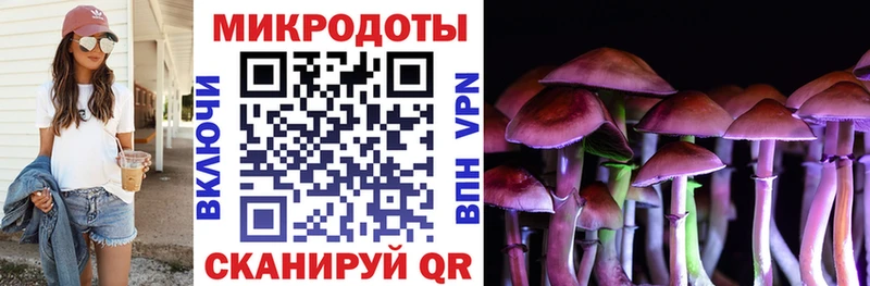 купить наркотик  МЕГА зеркало  Галлюциногенные грибы MAGIC MUSHROOMS  Новочеркасск 